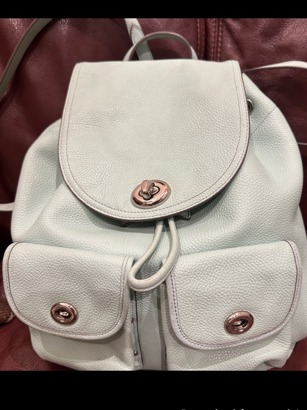 Coach Light Mint Leather Drawstring Backpack with Silver Hardware
